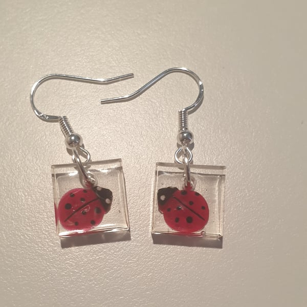 Square ladybird resin earrings