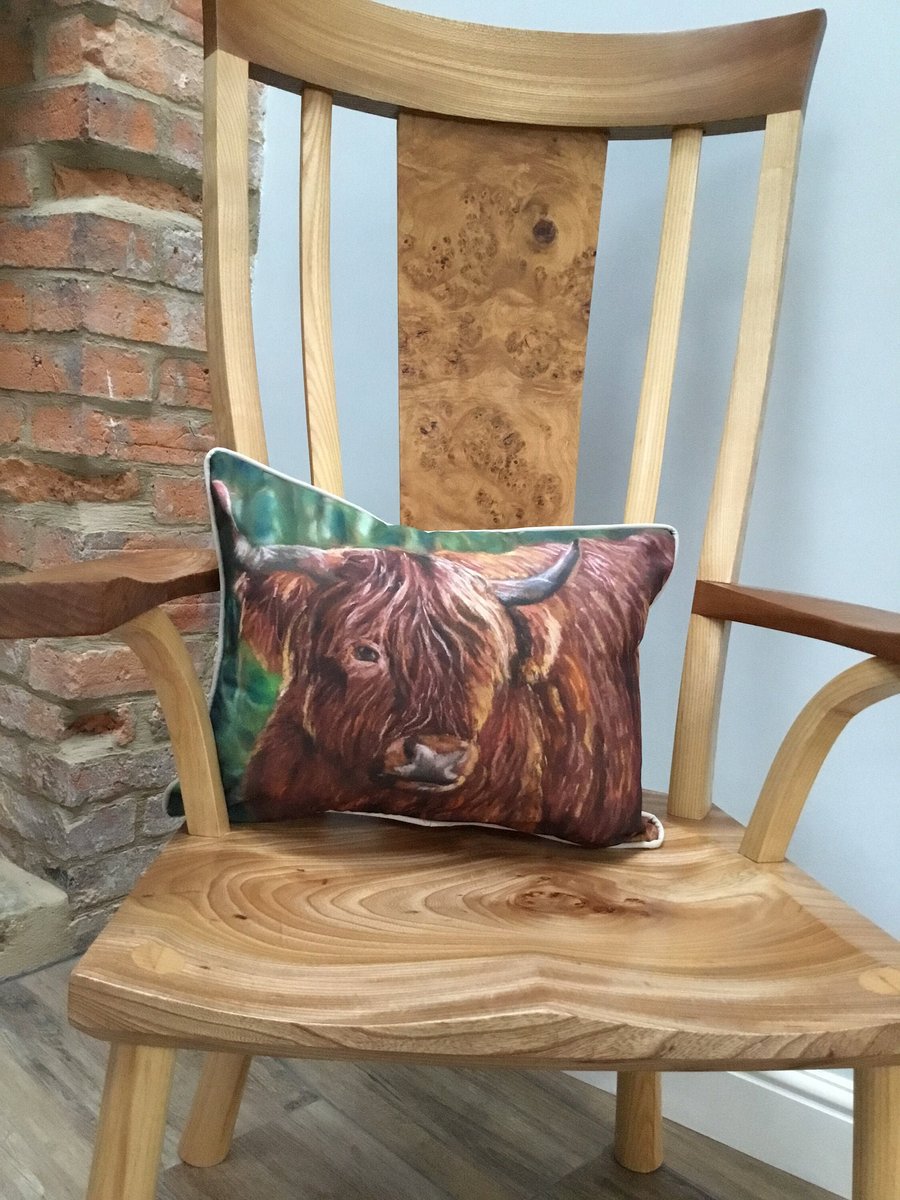 Shaggy Highland cow cushion from a painting by UK artist Janet Bird