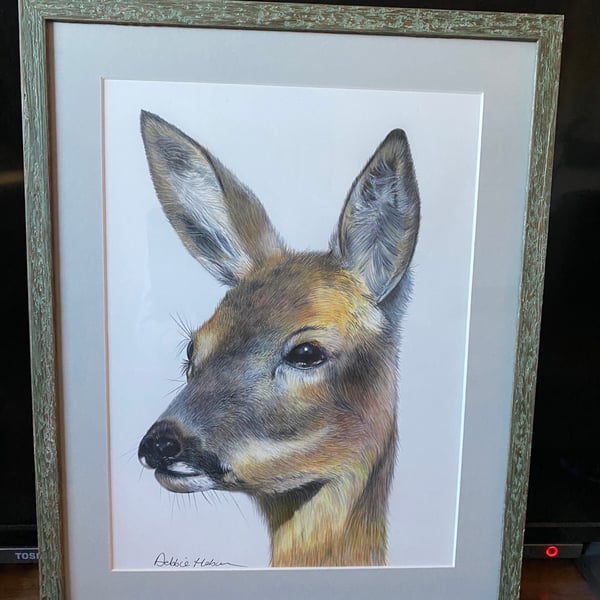 Original framed coloured pencil artwork Roe Deer 