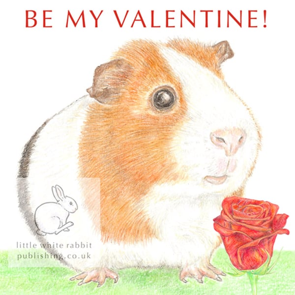 Gilbert the Guinea Pig - Valentine Card