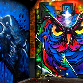 Bird Graffiti Street Art Camden London Photograph Print