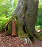 Wicker Arrow Quiver - Traditional-Primitive Archery Gift - Image 6