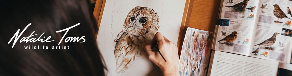 Natalie Toms Wildlife Artist