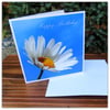 Daisy, daisy. A happy birthday card featuing an original photograph.