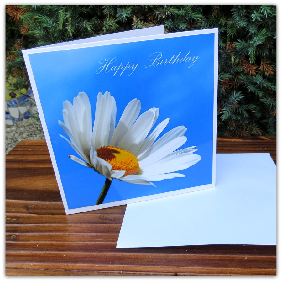 Daisy, daisy. A happy birthday card featuing an original photograph.