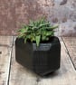 Burnt Wood Decorative Plant Holder - Image 5