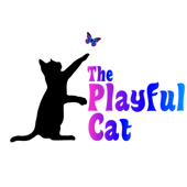 The Playful Cat