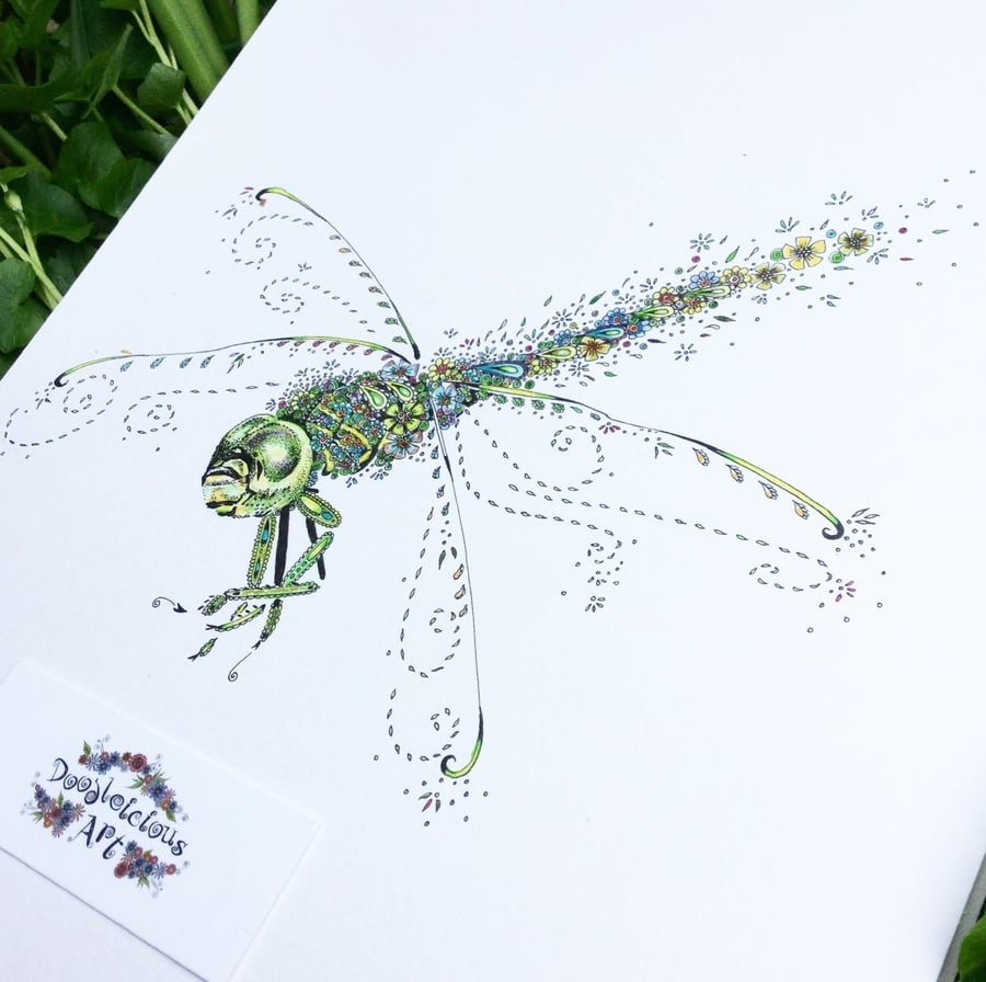 Original Illustration of a Dragonfly 