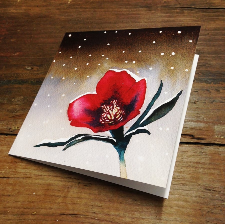 Pack of 5 watercolour Christmas cards, Hellebore, Christmas rose, set of cards