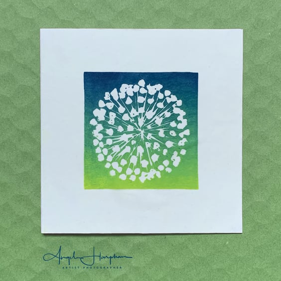 Fine Art Card - Blank with Original Lino Print - Agapanthus Seedhead 