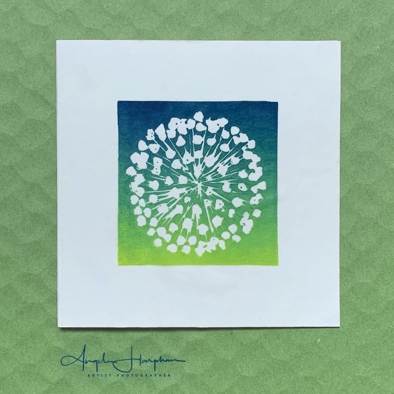 Fine Art Card - Blank with Original Lino Print - Agapanthus Seedhead 