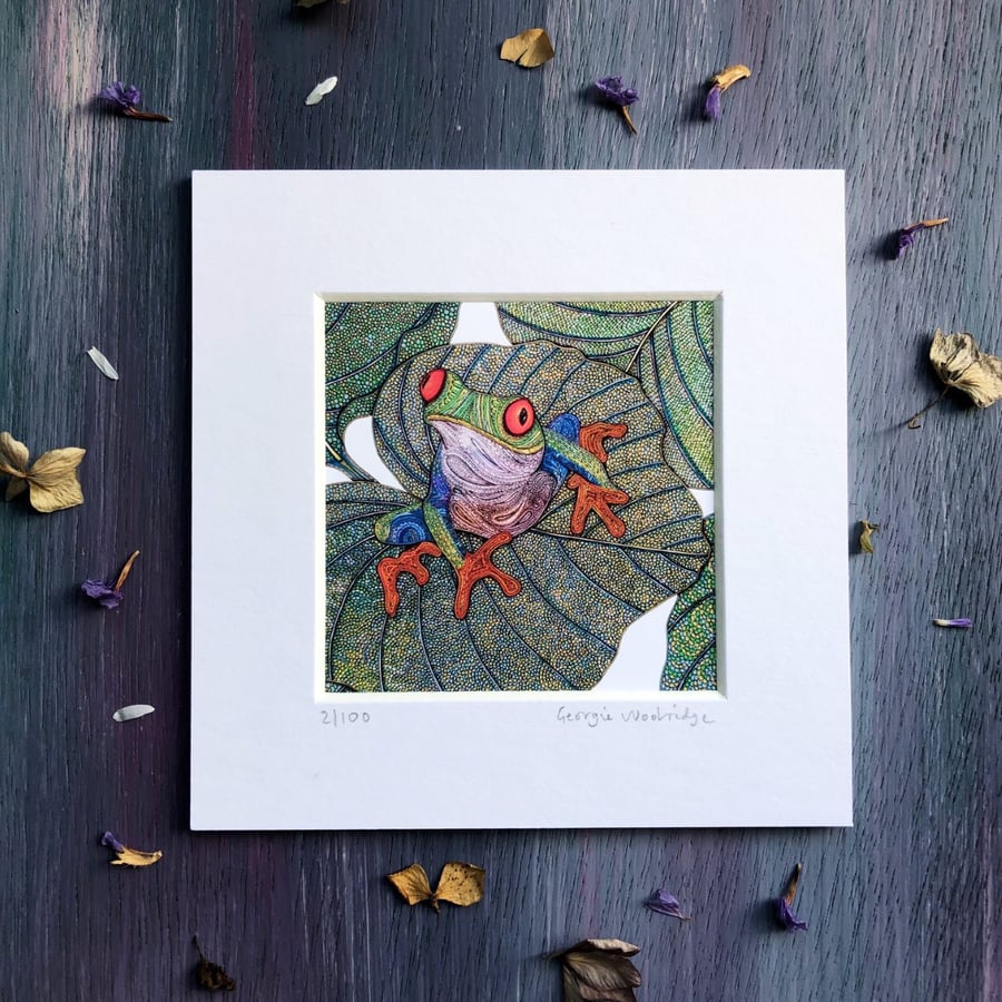 'Tree Frog' 5" x 5" Mounted Print