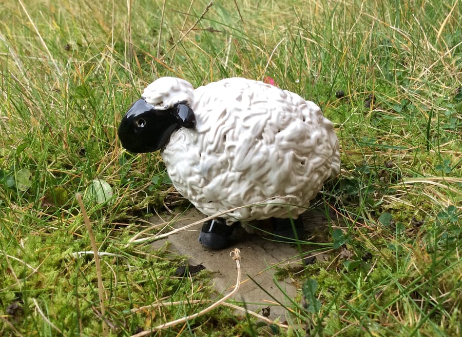 White and black sheep ornament, Collectible ceramic sheep sculpture, 3t