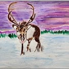 The Real Rudolph Mixed Media Painting of a Cairngorm Reindeer