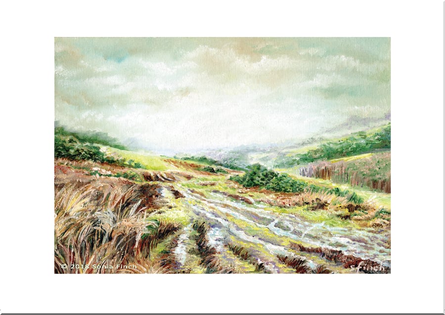 Tranquil Ashdown Forest in Autumn - Greeting Card