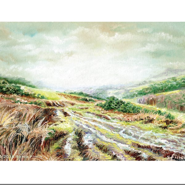 Tranquil Ashdown Forest in Autumn (Greeting Card)