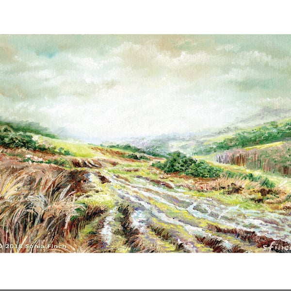 Tranquil Ashdown Forest in Autumn - Greeting Card