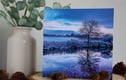 Greetings Cards