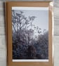 Winter Frost Photo Greetings Card (B), Christmas Card, Notecard - Image 4