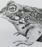 Natterjack toad card - Image 2