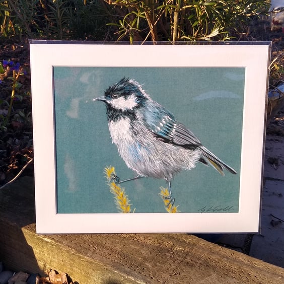 A quality signed print of an original drawing of a Coal Tit 250 mm x 200mm 