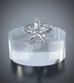 Silver Starfish Ring - Image 6