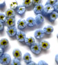 Forget me not flower murrini made with Bullseye 90coe glass