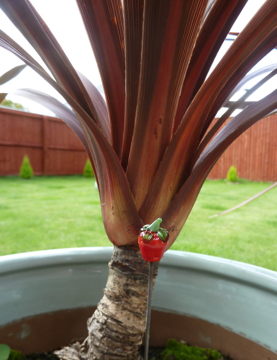 strawberry lampwork glass plant pot stake