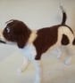 Jack Russell SOLD - Image 3