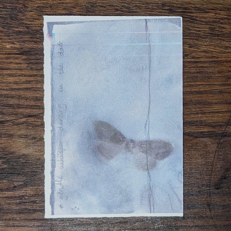 Moth layered photocopy 10x15cm