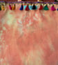 Tie dyed hand painted tote with paisley elephant design  - Image 5