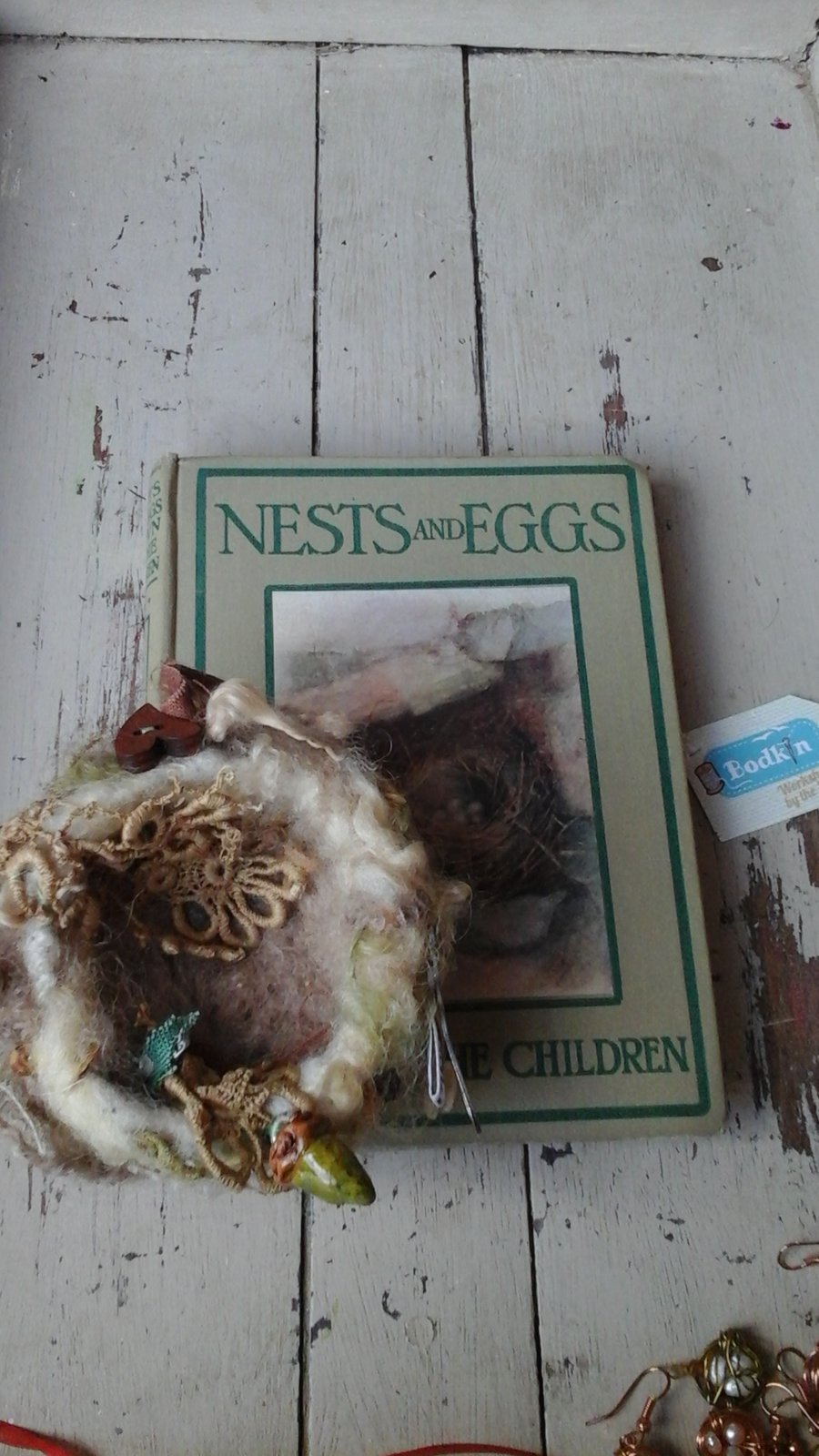 Acorn nest