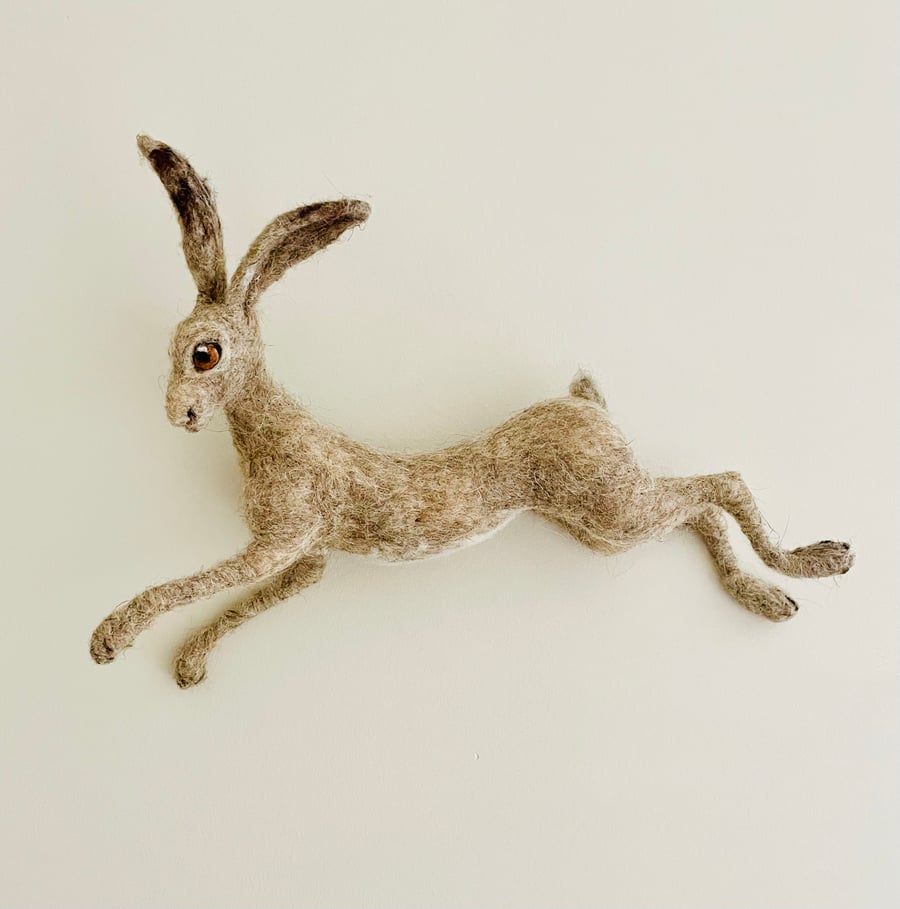 Hare for the wall