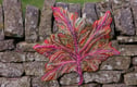 Felted Wool Napkins