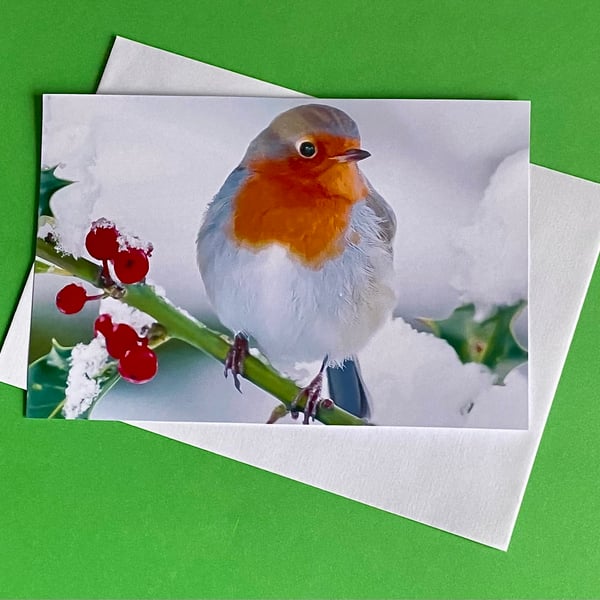 Robin in the Snow - Photographic Print Greetings Card