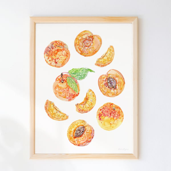 Watercolour Apricots Print - Illustrated food art printed sustainably