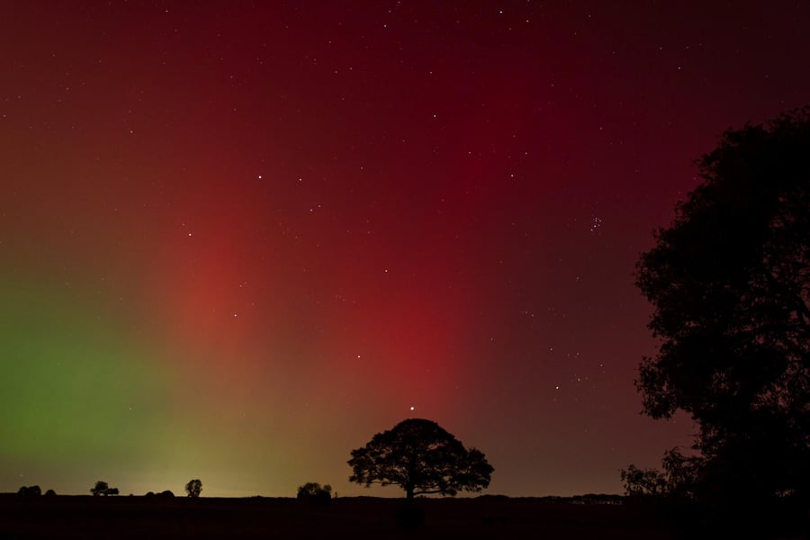 Norther Lights aurora tree print