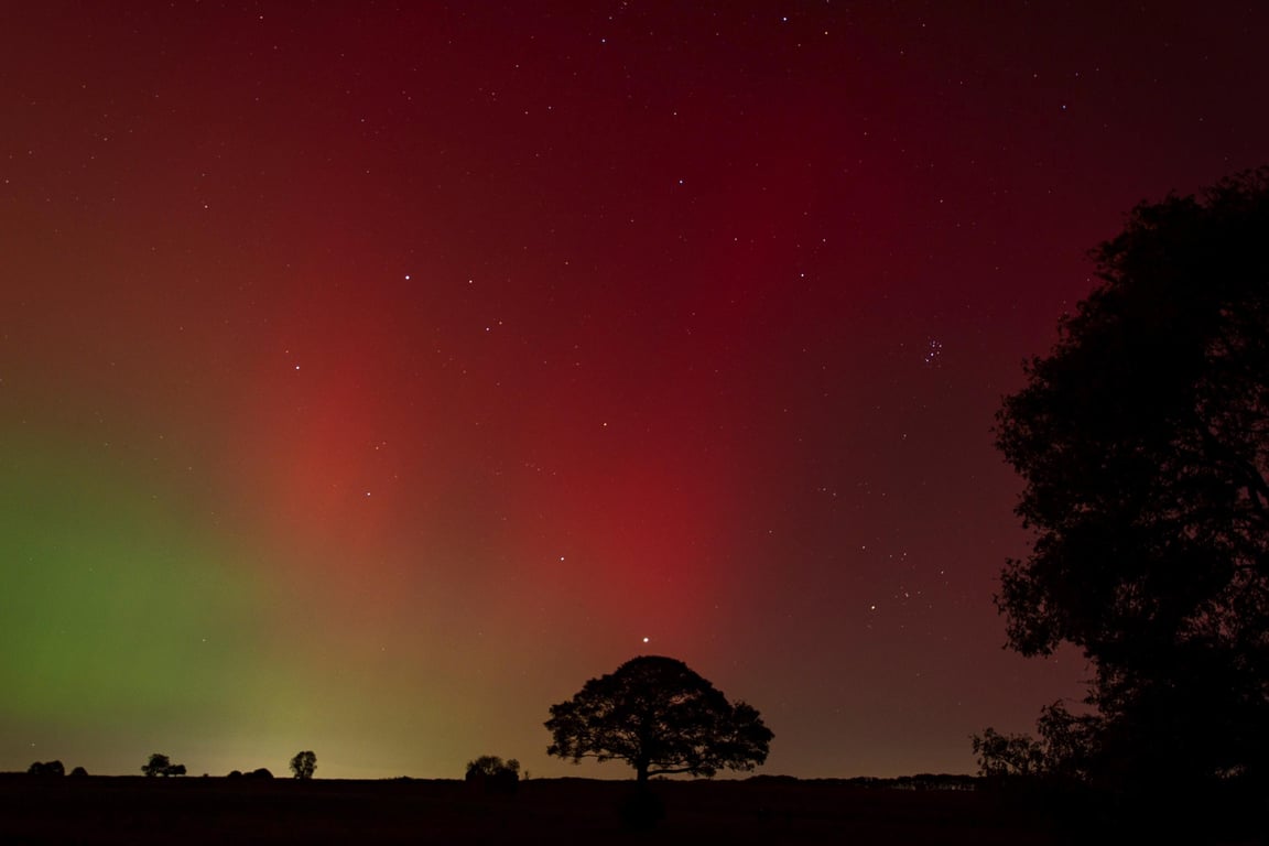 Norther Lights aurora tree print