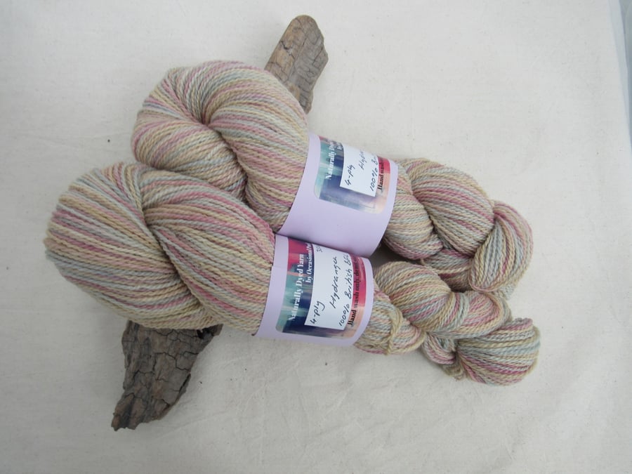 100g Hydrangea BFL Space Dyed Natural Dye 4-ply Yarn