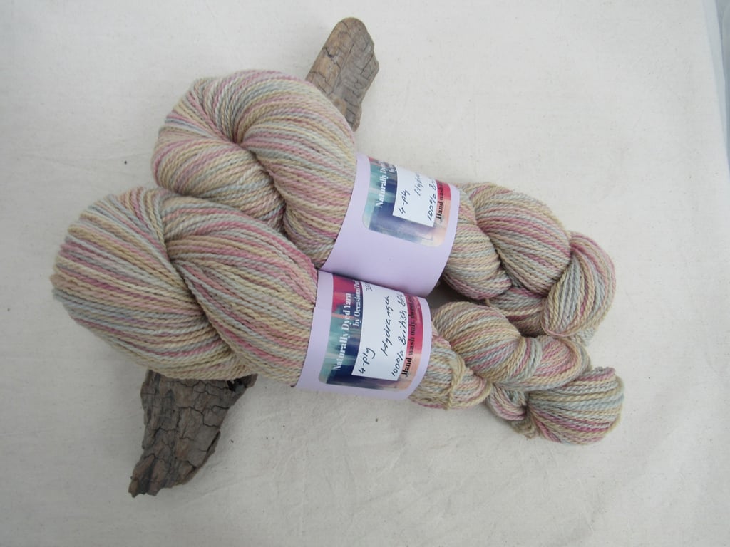 100g Hydrangea BFL Space Dyed Natural Dye 4-ply Yarn