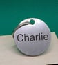 Pet ID Stainless Steel