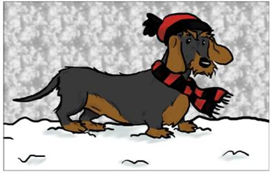 Wire Haired Dachshund Christmas Card 