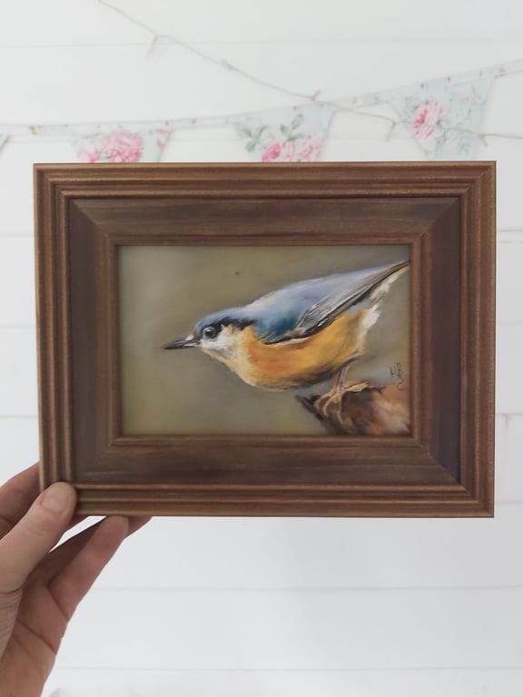 Framed Original Art Soft Pastel Drawing of a Nuthatch
