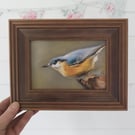 Framed Original Art Soft Pastel Drawing of a Nuthatch