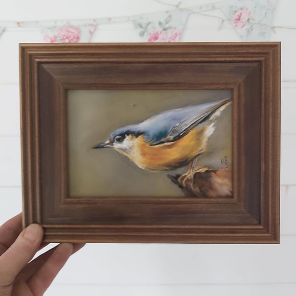 Framed Original Art Soft Pastel Drawing of a Nuthatch
