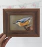 Framed Original Art Soft Pastel Drawing of a Nuthatch