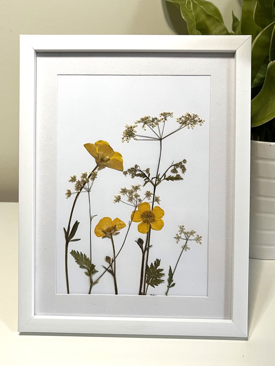Handmade Framed Pressed Flower Art, Real Buttercups, Cow Parsley Botanical Art