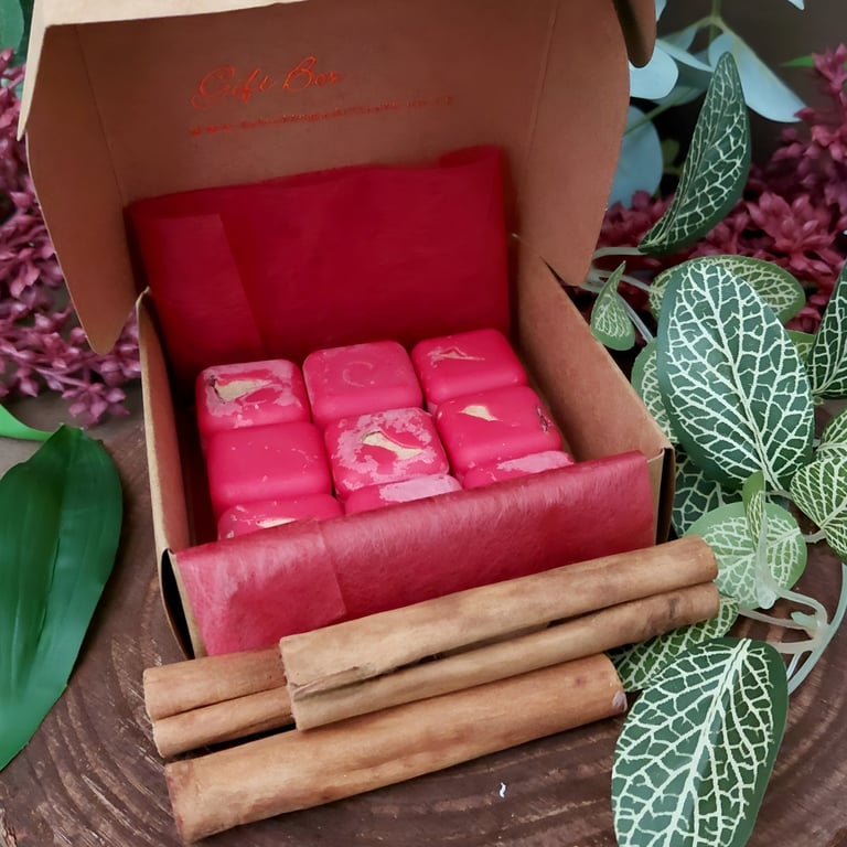 Cinnamon & Apple Christmas Wax Melts  Handcrafted Botanical Soy Wax Melts
