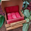 PRE ORDER Cinnamon & Apple Christmas Botanical Soy Wax Melts