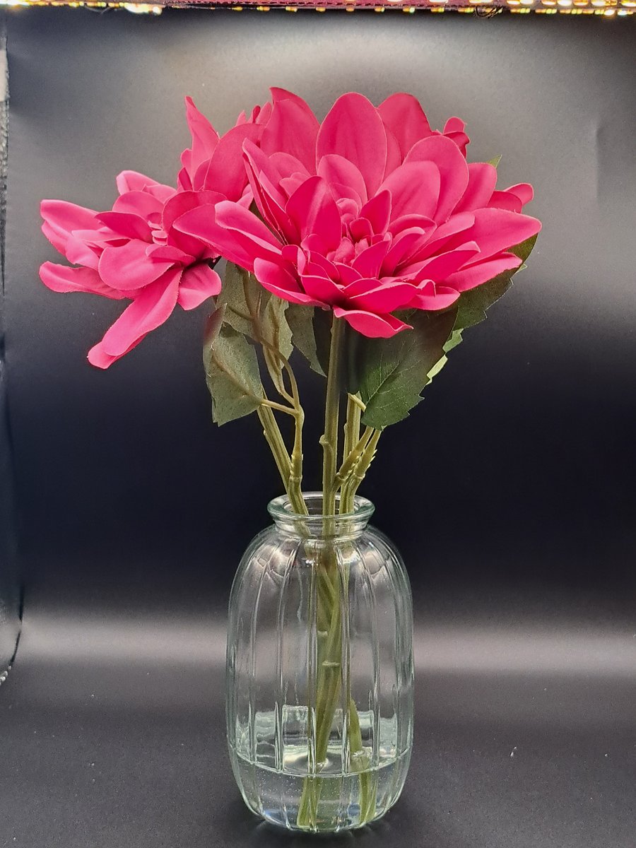 Fuchsia dahlias in glass ribbed vase 